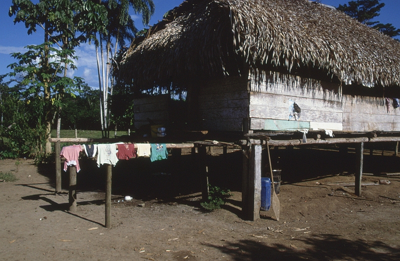 853_Traditioneel indiaans huis, Cuyabeno NP.jpg